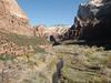 Emerald Pools trail