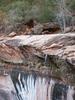 Emerald Pools trail