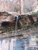 Emerald Pools trail