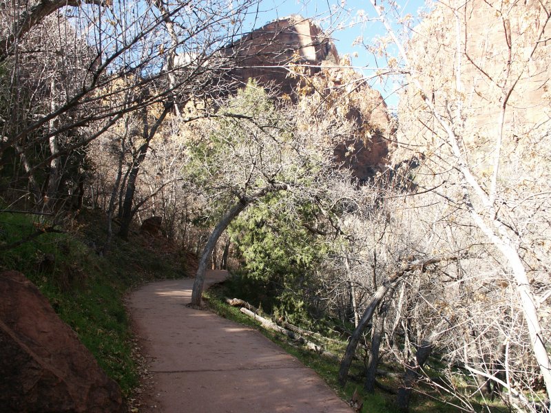 Lower Emerald Pool trail