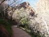 Lower Emerald Pool trail