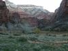 Angel's Landing trail