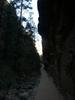 Angel's Landing trail