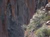 Angel's Landing rock climbers
