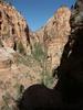 Angel's Landing trail