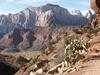 Watchman trail