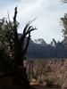 Watchman trail