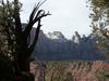 Watchman trail