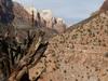 Watchman trail