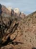 Watchman trail
