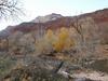 Virgin River
