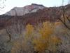 Along the Virgin River