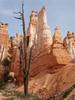 pict0222.jpg